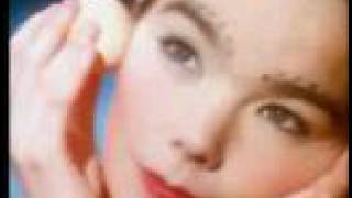 Video thumbnail of "Björk - Venus as a boy"