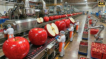 Inside a Modern Apple Juice Factory: From Fresh Harvest to Bottled Gold (Full Process)