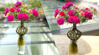 New Creative How to Make Beautiful Portulaca Grandiflora Bonsai Flowers Grow Without Soil