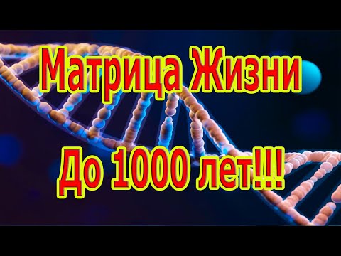 Самая Редкая и Мощная Матрица Жизнь до 1000 Лет!!!