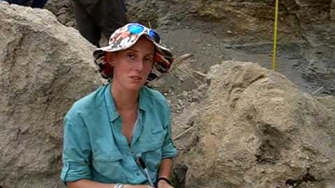 Basic Explanation of Carbon Isotope Analysis