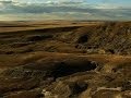 Dinosaur Discoveries and Montana State University