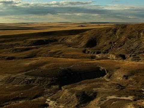 Film backdrop image for How a Discovery in Montana Inspired Jurassic Park (2014)