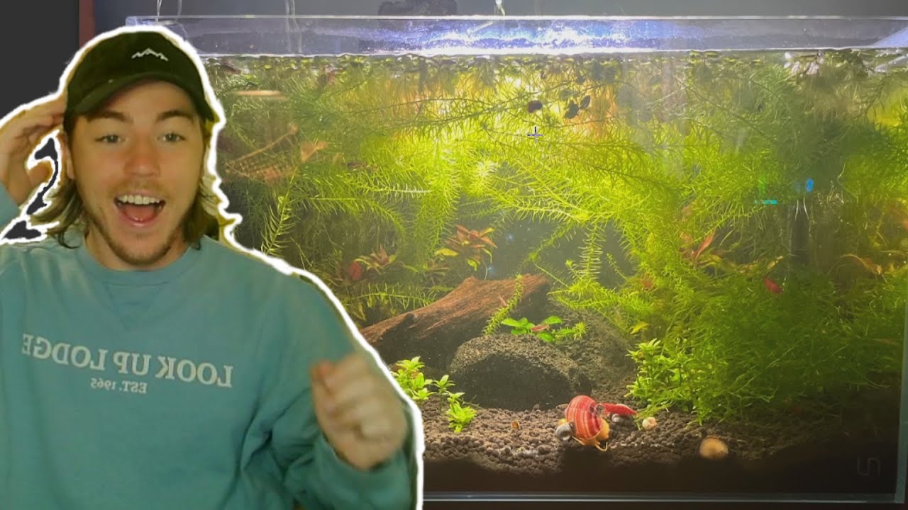 Fish Biologist Reacts to YOUR Aquarium - YouTube