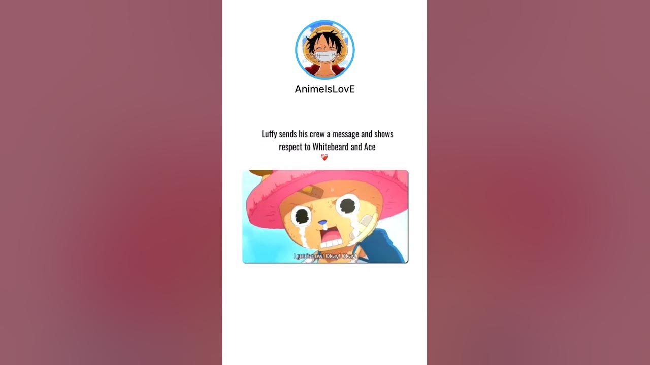 Luffy send his crew a message and shows respect to Whitebeard and Ace - What Was Luffy's Message To His Crew