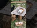 Dog pursuit rabbits - work hard play harder - #rabbits #dog #cute #animals # funnyfarm #farm