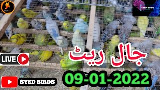 Lalukhet Birds Market Sunday video Latest update 09- 01-2022 Urdu\/ Hindi