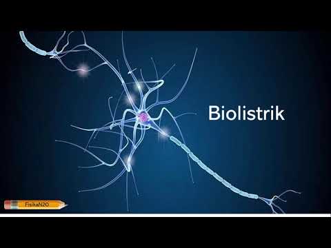 Fisika N20 - 7. Biolistrik - Fisika Kesehatan