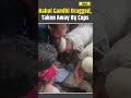 Rahul Gandhi Dragged, Detained By Cops | Congress Protest | Priyanka Gandhi Detained | CJP Protest