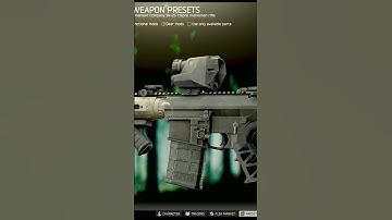 This is SIG Sauer ECHO1 (New Thermal) - Escape From Tarkov