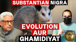 Reply to GHAMIDI's Student by SUBSTANTIA NIGRA