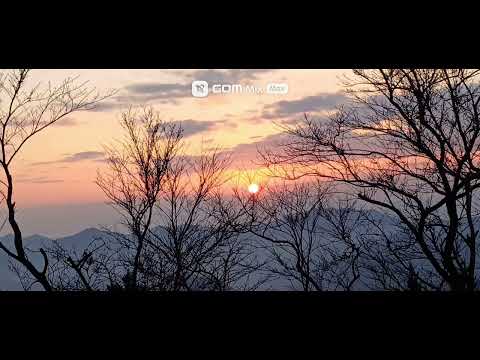 2024년 봉화산 해맞이 / 인터뷰/ 배경음악: 마그마-해야/김학래-해야해야