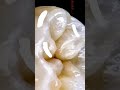 NO BRAIN NO PAIN MOLAR AND IBIS PAIN T #artedigital #artshorts #drawing #art #artista #artist