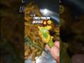 josh josh m bna diy aaj mirch k pakode❤️‍🔥#chilli #viral #minivlog #youtubeshorts