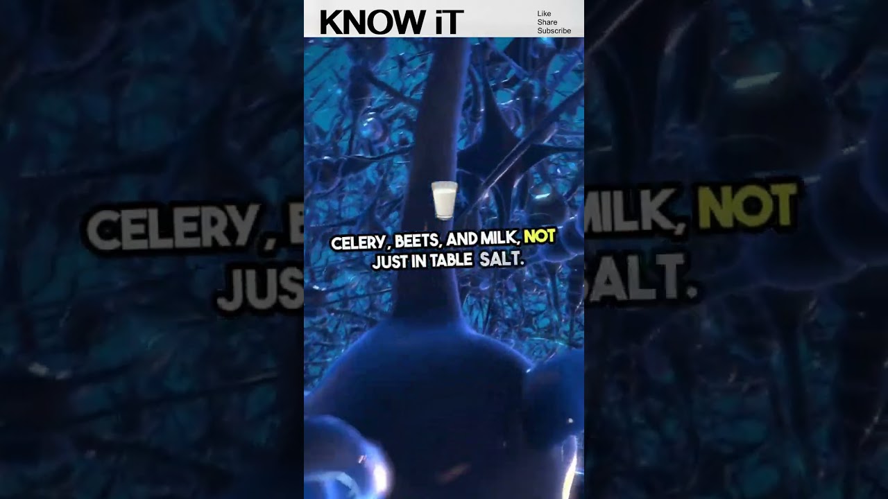 10 Intriguing Facts About Sodium | KNOW iT