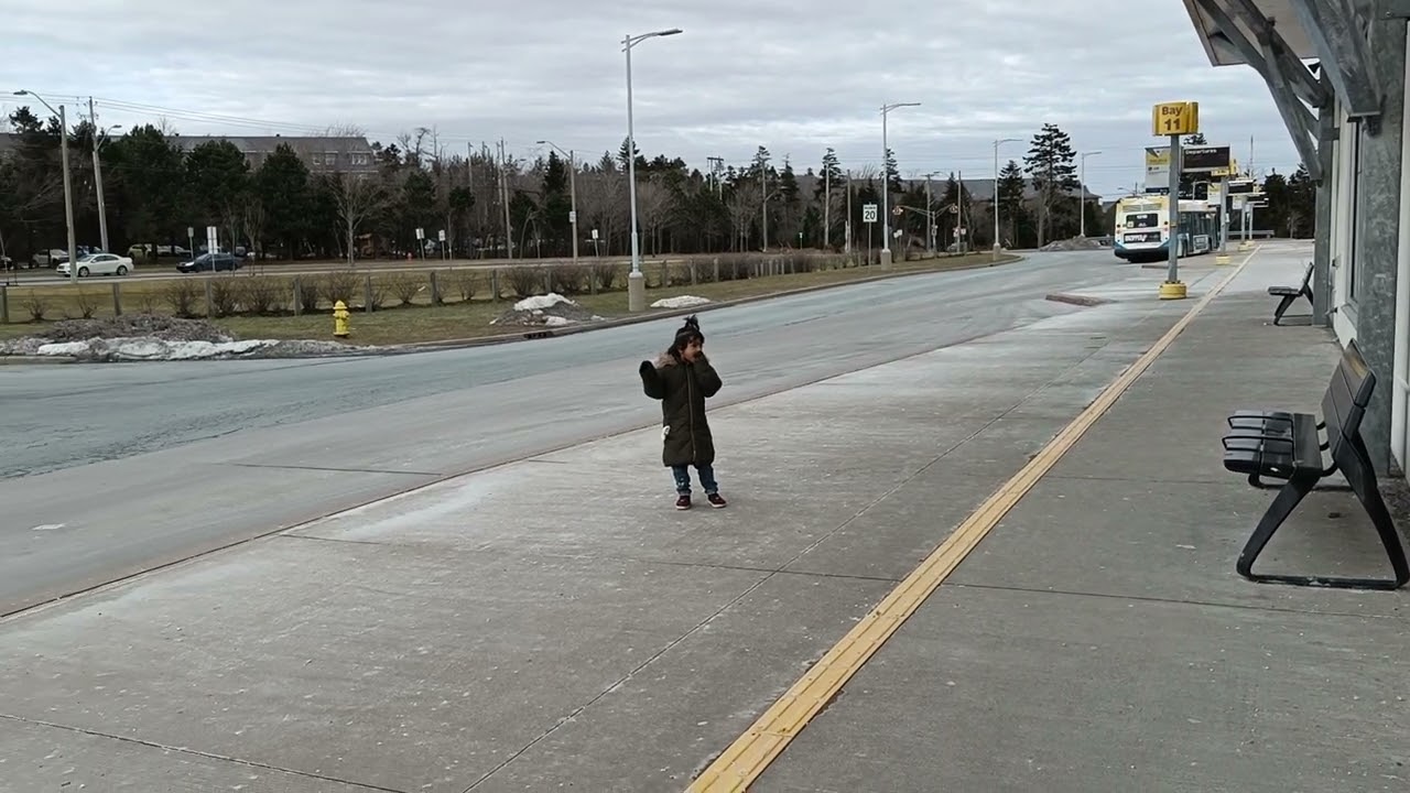 Halifax Lacewood Terminal