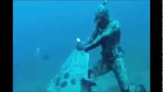 Giant Goliath (Jewfish) steals snapper, bites divers hand screenshot 4
