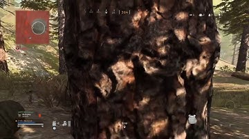 Warzone 1v1 final circle