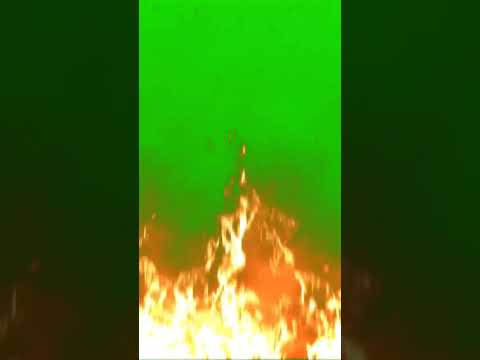 Fire Greenscreen Fire Green Screen Video 