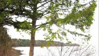 North Nanaimo Tour