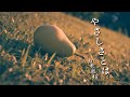 やさしさとは/乃木坂46