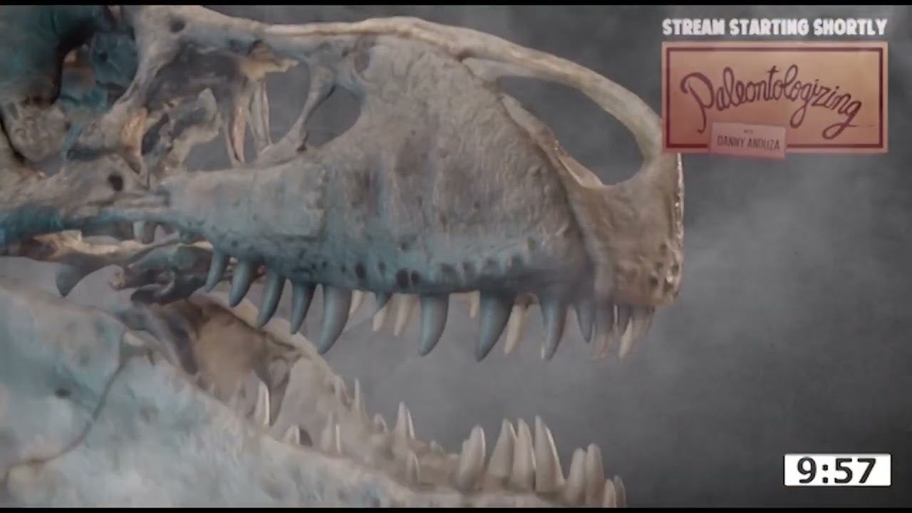 Dinosaur Q&A 🦕🦖🐦 MOVING TOMORROW (w/ paleontologist Danny Anduza)