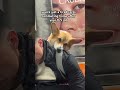 He paid taxes this year #corgi #dogs #funny #subway #nyc