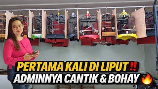 Download Lagu LIPUTAN PERDANA‼️ SEKOLAH BURUNG 🔥JUAL TROTOL FIGHTER \u0026 MURAI PRESTASIAN | M2 GALERY 101 KEMBANGAN MP3