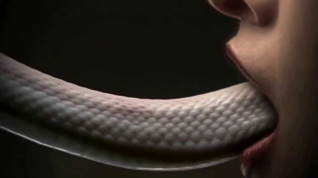 American Horror Story - Fan made