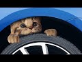 My Favorite Cat Little Kitten Preschool Learn with a cute virtual cat Cutest Cat Best App #215