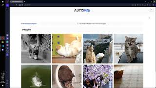 Auto Insert Image With The Cat Api, Is So Cute Sz