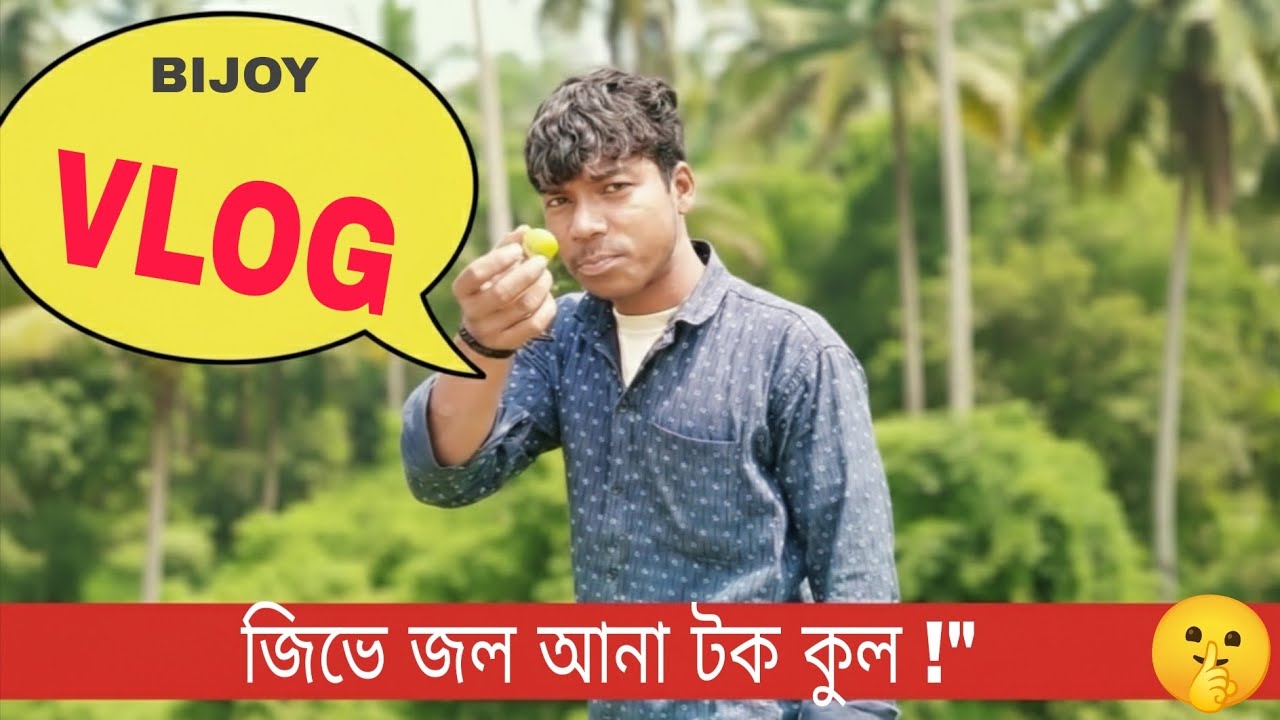  কুল পেরে খাওয়া মজাই আলাদা /vlog 