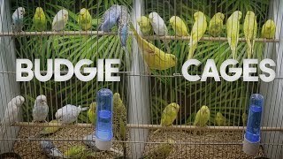 Bird Cage | Cage for Budgies to be Happy
