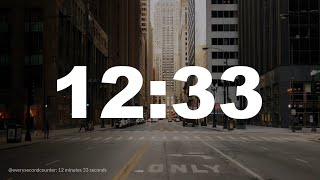 12 minutes 33 seconds [753 secs] clock timer countdown || Alarm Focus || Chill Music