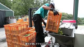 Interview Series: "Toyoo Tamamura and 30 Years of NAGANO WINE"