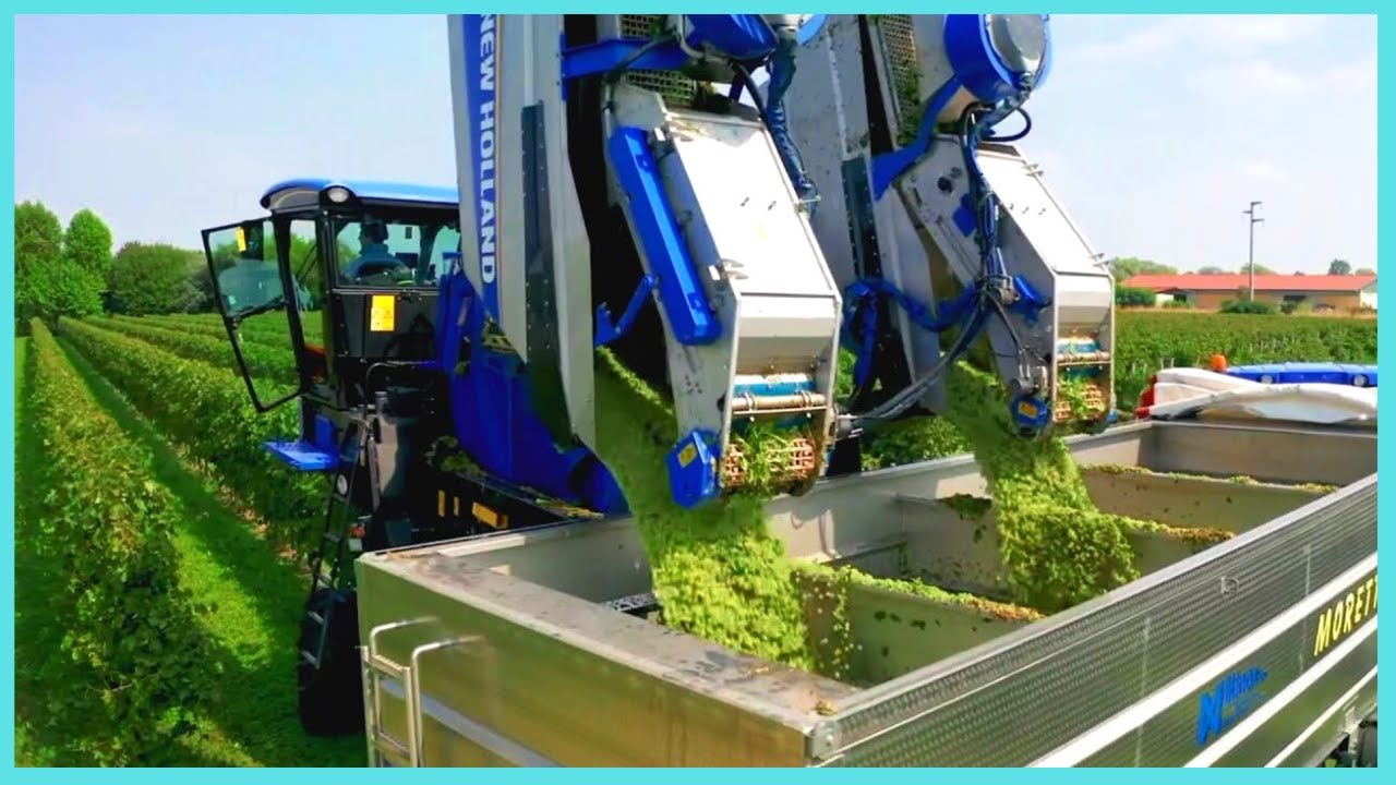 Modern Fruit Harvesting Machinery & Automatic You Never See Before