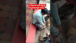 - ఒక వయకత పలలలక పరమత ఆహర పడతనన సననవశ -