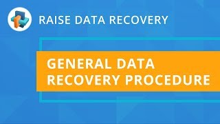 Raise Data Recovery: General recovery procedure [SysDev Laboratories]