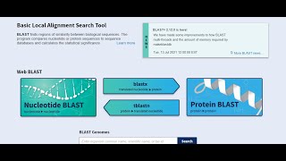 IBT2021 H3ABioNet Module3 session3 BLAST Algorithm