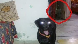 TOP 10 Very Chilling Real Ghost Photos Ever Caught on Camera Real Ghost Video 2016