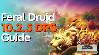 Feral Druid 10.2.5 Beginner Guide for Raid & M+