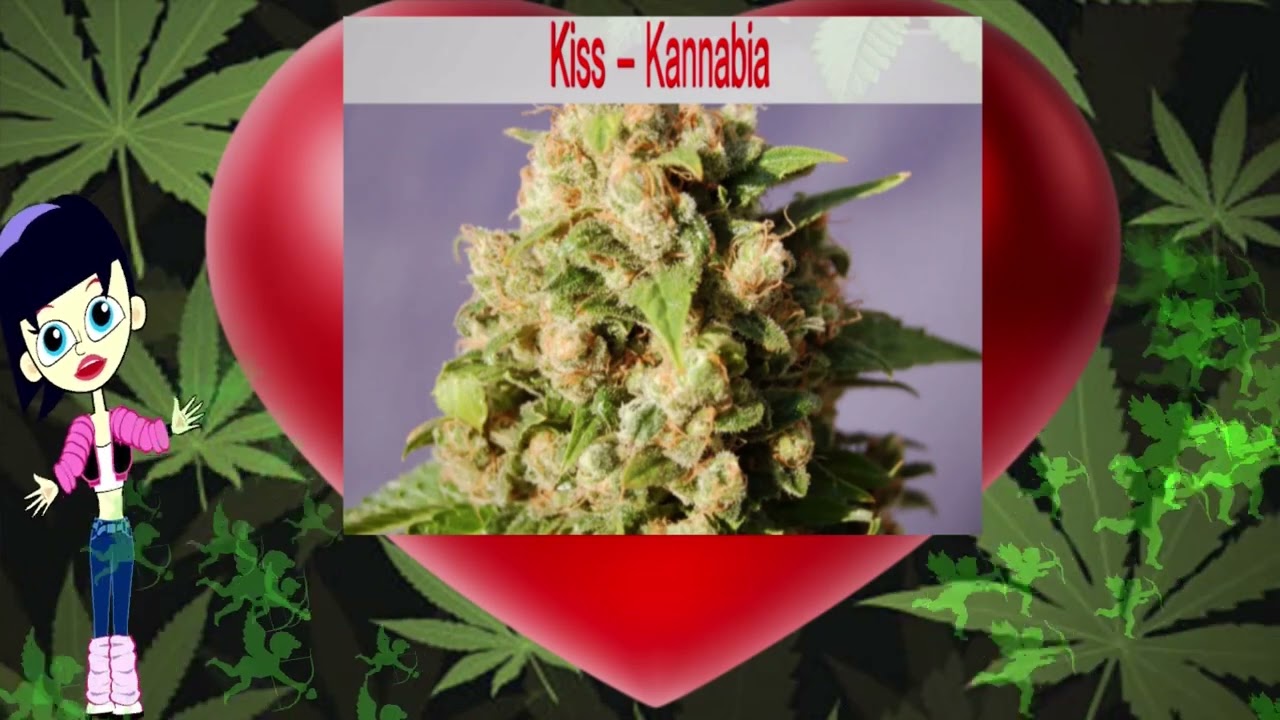 Valentine's Day Cannabis Strains By STRAIN TV (2022)