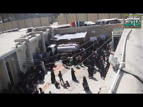 توافد المعزين الى مرقد بنات الحسن ع الهاشميات في 7 صفر 1443 هـ من اعلى مرقد 