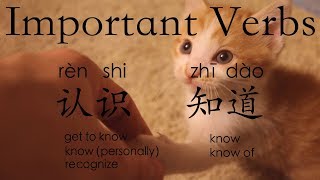 Learn Chinese Vocabulary: 认识 rènshi --to get to know; 知道zhīdào —to know