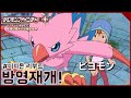 [디지몬] 디지몬 어드벤쳐:리부트 방영재개&신극장판 키즈나의 DVD발매소식 정리