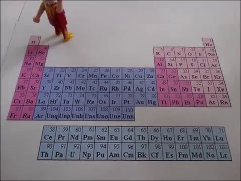 Nucleosynthese, Endoplasmatisch Reticulum & Proteïne - Oerknal