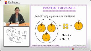 Algebra: Practice Exercise 6