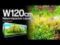 [ADAview] Balmy Spring Breeze 春彩薫風 -W120cm NatureAquarium Layout-【EN/JP Sub.】