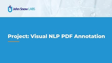 Project: Visual NLP PDF Annotation