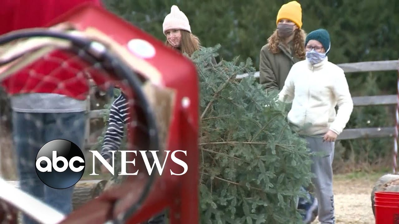 Family sets up Christmas tree lot to support small businesses | WNT